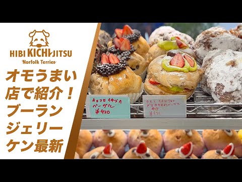 ブーランジェリーケン 3  【オモうまい店】で紹介される！【bakery  boulangerieken bagel】