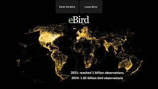 eBird and Citizen Science Birding Webinar