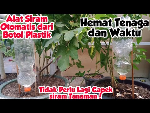 Ide Kreatif Membuat Alat Siram Otomatis dari Botol Plastik!