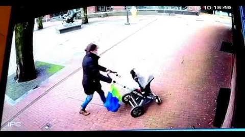 Trees Falling Compilation #5 No Music