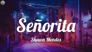 Shawn Mendes - Señoritas Alan Walker, Miley Cyrus, Avicii Mix