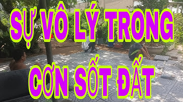 SỐT ĐẤT TẠO RA NHIỀU THỨ VÔ LÝ LẮM - NGHIỆM LẠI ĐỂ CHUẨN BỊ TỐT HƠN CHO CƠN SỐT TIẾP THEO