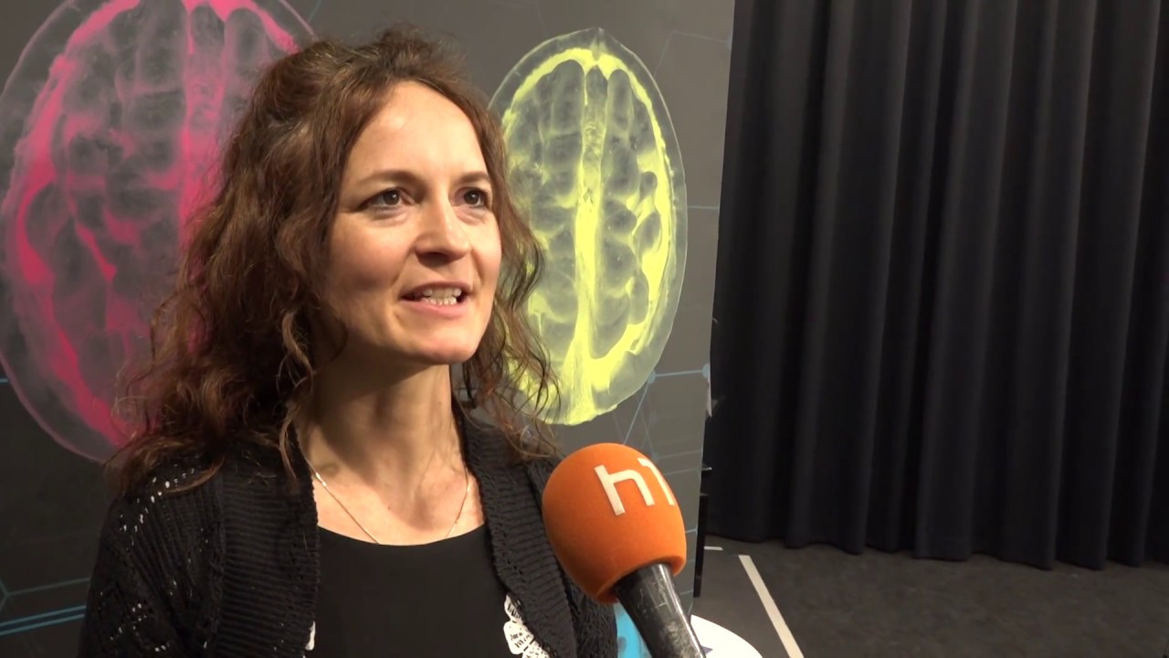 Meine Werte - Deine Werte: Was hält unsere Gesellschaft zusammen? (h1-Fernsehen)