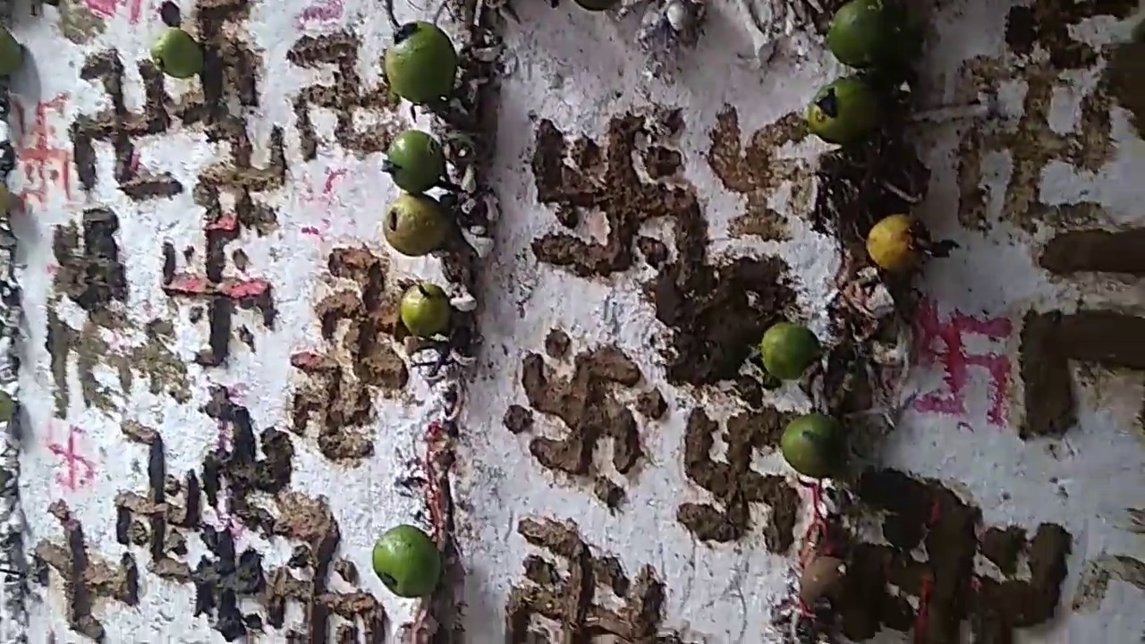 #उज्जैन के बावन कुंड के दर्शन