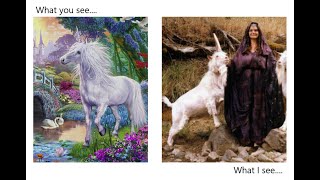 Pt. 2-Unicorn Demons- &quot;He-goat with a conspicuous horn between it&#39;s eyes.&quot; Vision of Daniel Ch. 8