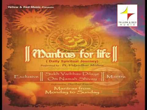 jai-hanuman-mantra-|-जय-हनुमान-मंत्र-|-devotional-aarti-|-pandit-vidhyadhar-mishra