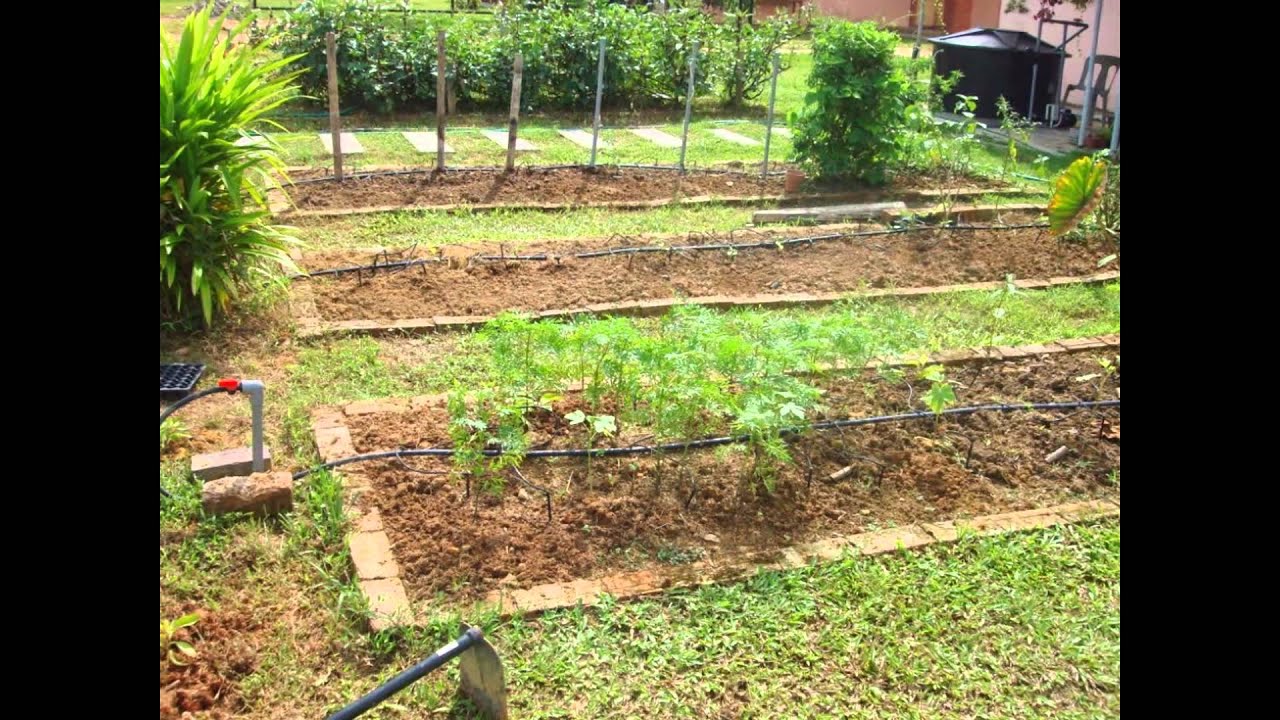 Backyard Vegetable Garden Design backyard vegetable garden design captivating interior design ideas Vegetable Garden Design Backyard Vegetable Garden Design Ideas Backyard Vegetable Garden Design vegetable garden ideashome design and decorating Vegetable Garden Design Backyard Vegetable Garden Design Ideas