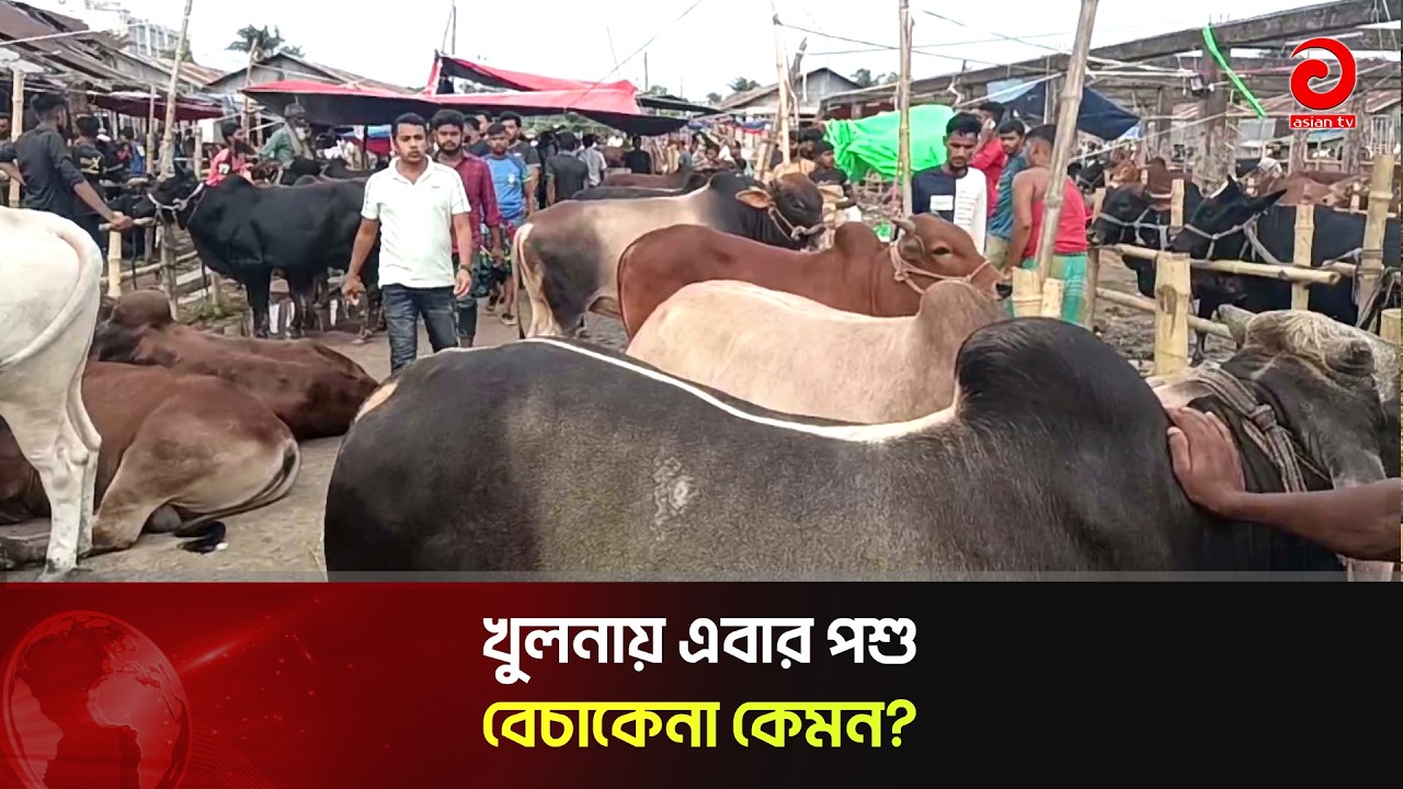 খুলনায় এবার পশু বেচাকেনা কেমন? | Asian Television