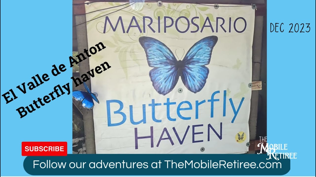 Butterfly Haven el Valle de Anton, Panama #Mariposario #panama #elvalle