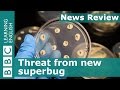 BBC News Review: Threat from new superbug