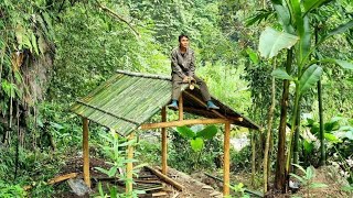 65 days of living alone in the forest and creating beautiful shelters, searching for natural food