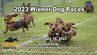 2023 Wiener Dog Races