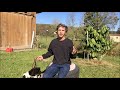 House Breaking Puppy, How to Potty Train a Dog House Breaking Puppy, How to Potty Train a Dog