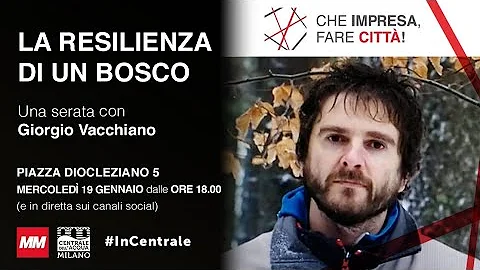Cosa fare per una serata romantica?