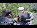غوار لازم يجمع 200 كلب بيوم واحد كل الاساليب مسموحة