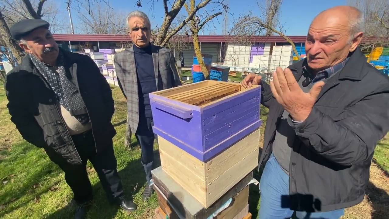 İki analı sistemin yeni yöntəmlə yoxlanılması.