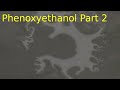 Phenoxyethanol - Part 2 (explanation)