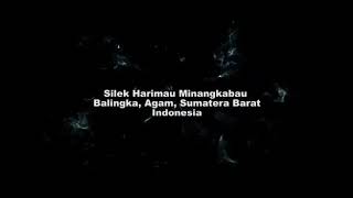 Silek harimau minangkabau.