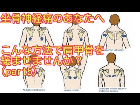 坐骨神経痛のあなたへ こんな方法で肩甲骨を緩ませませんか Part5 Youtube