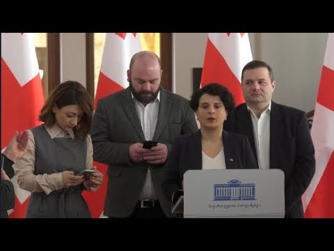 „ოცნება“ ე.წ. აგენტების კანონს აინიცირებს ერთადერთი მიზნით, არ მოგვცენ კანდიდატის სტატუსი\'