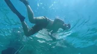 Skin Diving & Snorkeling on Turtle Reef, Deerfield Beach, Florida