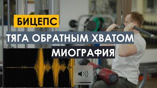 Тяга обратным хватом для бицепса. Лучшее упражнение по мнению Джеффа Кавальера. Миограф