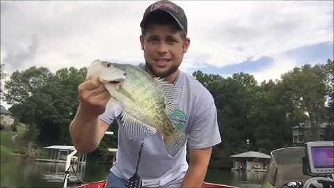 Garmin Livescope - Settings for Crappie