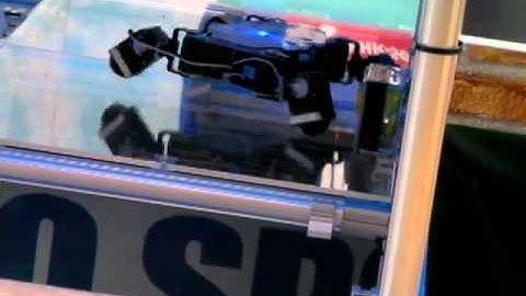 The 2nd KONDO Land Multi-Legged Robot Obstacle Race, Mushi-gata Robot 2nd race