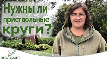 Приствольные круги.