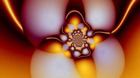 insights into a parallel universe 1