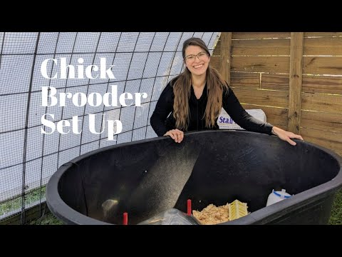 How to Set Up a Chick Brooder | Raising Chicks for Beginners - YouTube
