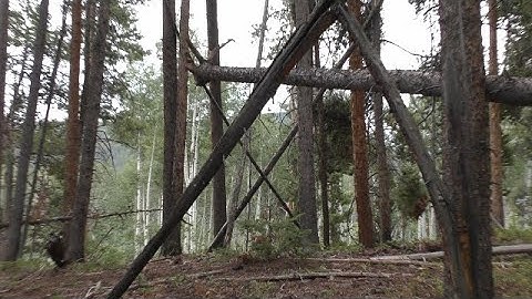 Power Line Bigfoot - Undeniable Movement & Placement of Structures - TeePee