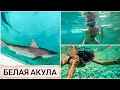 МОРСКОЙ ПАРК в Турции! ЛУЧШЕ НЕ ПРИДУМАТЬ😍SEALANYA