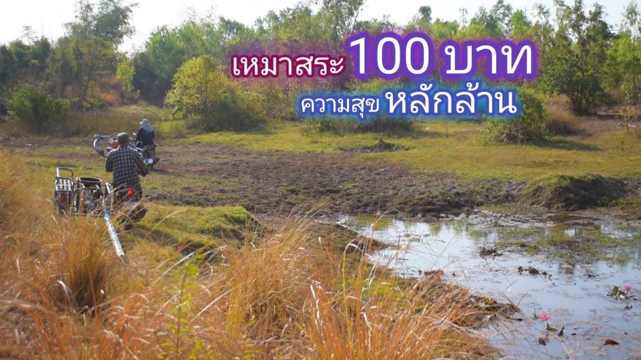 เหมาสระ 100 บาท!!! สระหลักร้อย บรรยากาศหลักล้าน (เหมาสระ ปี1)/ บ้านนอก EP.277