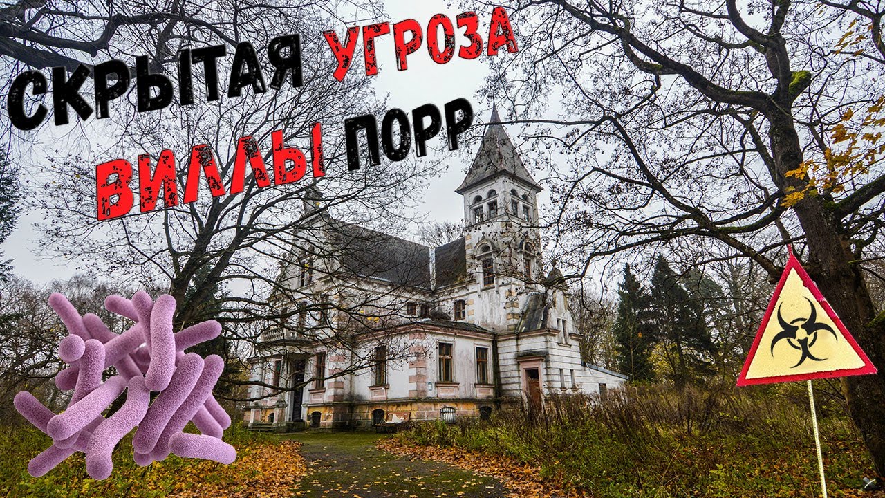 порр