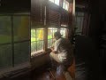 Old Windows, New Life: A Father-Son Restoration Masterpiece老窗新生:父子匠人 修复杰作