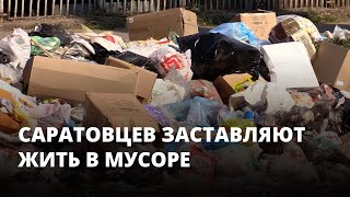 Саратовцев заставляют жить в мусоре