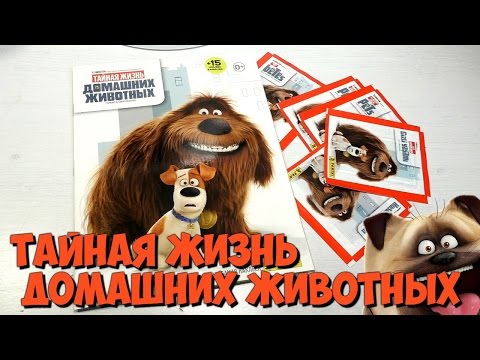 Альбом для наклеек «ТАЙНАЯ ЖИЗНЬ ДОМАШНИХ ЖИВОТНЫХ» Альбом для наклеек «ТАЙНАЯ ЖИЗНЬ ДОМАШНИХ ЖИВОТНЫХ»