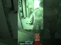 “Macho Man → Screaming Fox Girl in 2 Seconds”