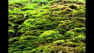 Azerbayjantabriz- Xoy-Jolfa-Maku-Qaradag Jangel