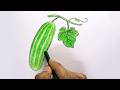 Cucumber Drawing easy Step by Step for Beginners | Fruits Drawing with Crayons