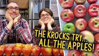 Which Apples Are The Best? We Tested 16 Different Varieties From Trader Joe’s! 🍎🍏🍎