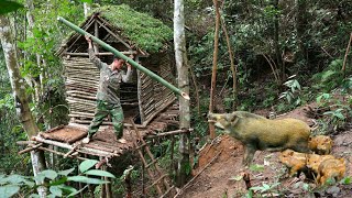 detect wild boar in the bush, visit wild boar traps, search for wild food, survival skills