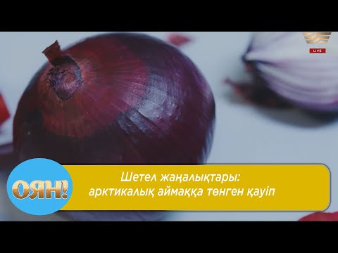 Бейне: Неліктен пияз қауырсыны сарғайып кетеді және онымен қалай күресуге болады?