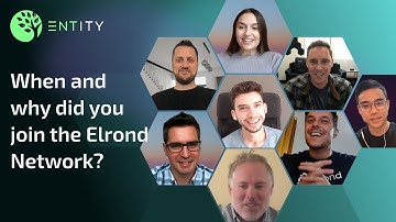 We asked fellow builders why they joined the Elrond Network (MultiversX) | Entity