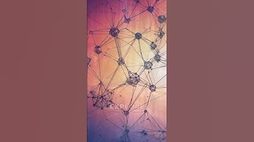 Unveiling the World of Crypto Currencies