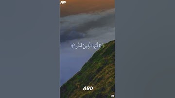 سورة الأحزاب القارئ #ياسر_الدوسري #فلسطين#السعودية#المغرب#مصر#الجزائر#تونس