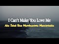 I Can&#39;t Make You Love Me - Dave Thomas | Lirik dan Terjemahan Indonesia