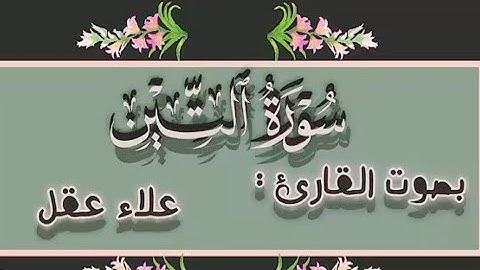 سورة التين مكررة/للتسهيل الحفظ /مكتوبة كاملة /بصوت القارئ علاء عقل