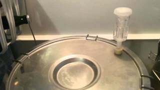 How to Make Wine: Stainless Steel Fermenter During Primary Fermentation